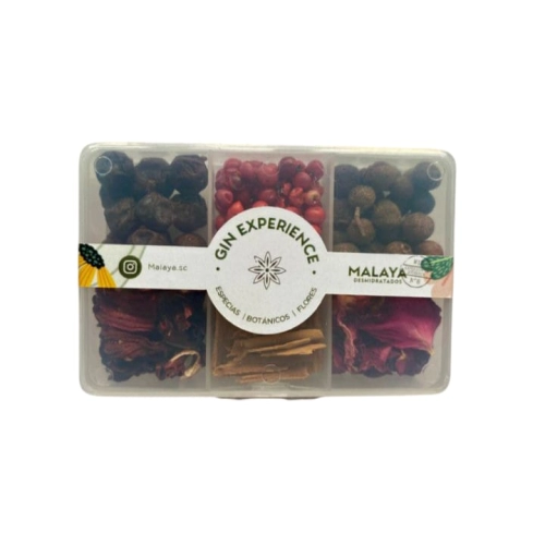 Gin Experience Botánico Coctelería Rectangular ch Mix N°2 - Malaya 1340 azul