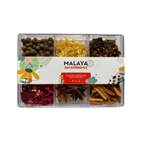Gin Experience  Edición Botánica Mix N°1 Rectang. Gr - Malaya 1342 rojo