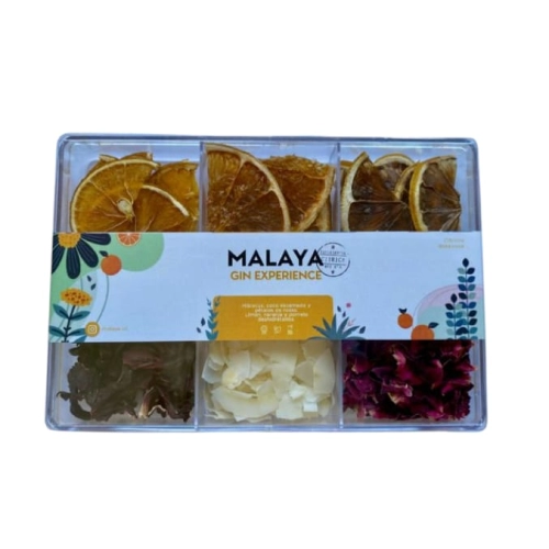Gin Experience Edición Cítrica Mix N°6 Rectangular gr- Malaya 1347 amarillo