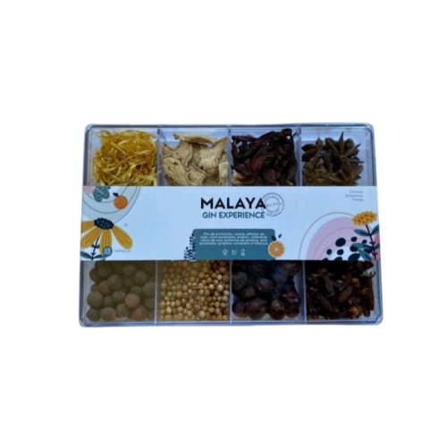 Gin Experience Edición Cítrica Mix N° 8 rectang. gr- Malaya 1349 gris osc.